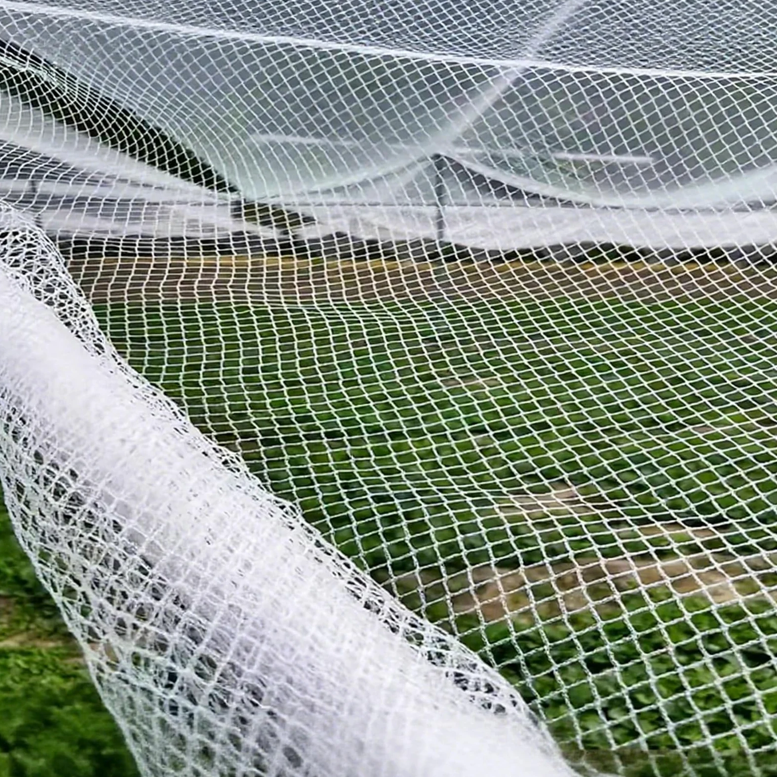 Vogelschutznetz für Garten und Obstgarten, schützt Obst und Gemüse, idealer Pflanzenschutz für den privaten und gewerblichen Gebrauch, Rot