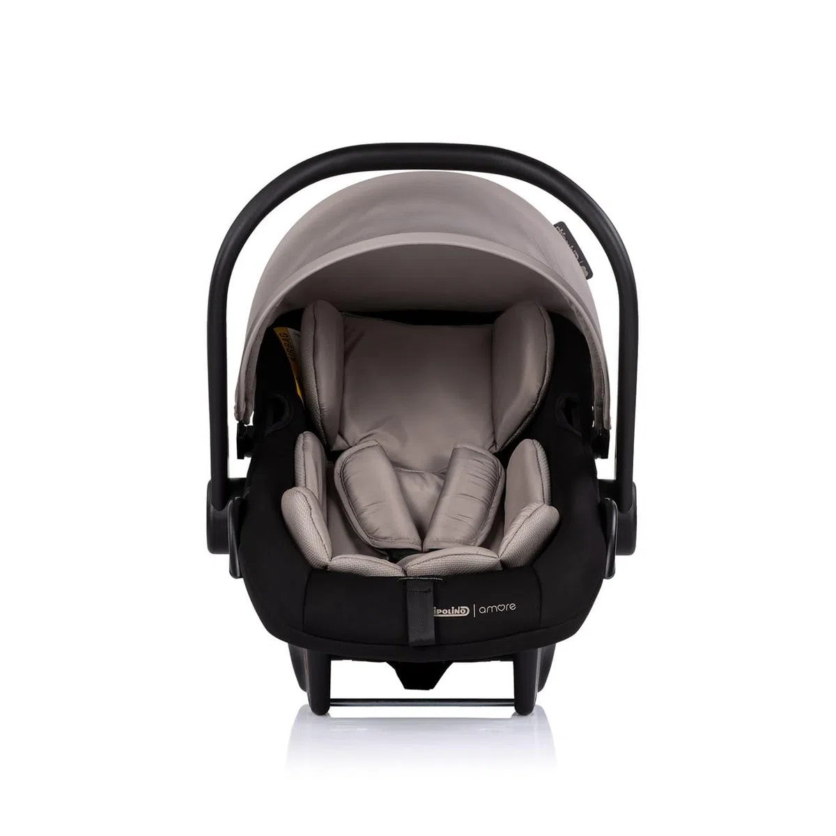 Chipolino Set Babyschale Isofix-Basisstation Amore i-Size Gruppe 0+ (0-13 kg) braun