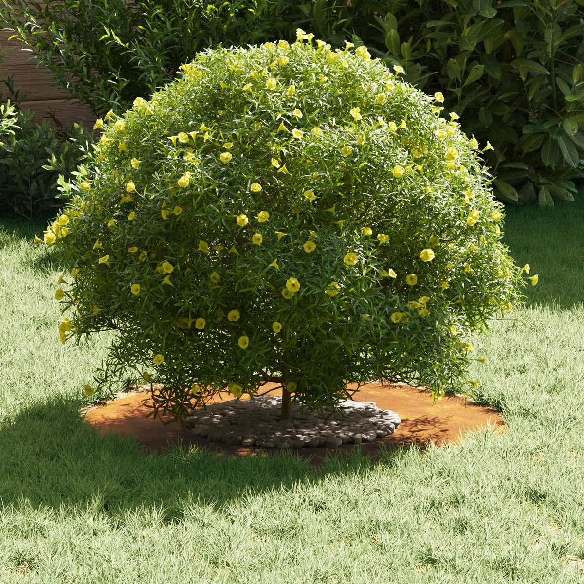 5er Set Flacher Baumbegrenzer aus wetterfestem Stahl, Braun, Ø30/60 cm, für Garten, Landschaftsbau, Wurzeln Schutz